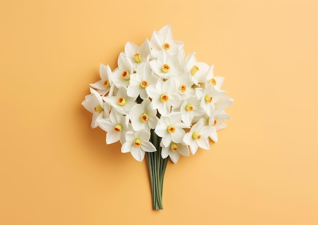 Minimalistic design selection of one white flower of the daffodil on an appropriate background