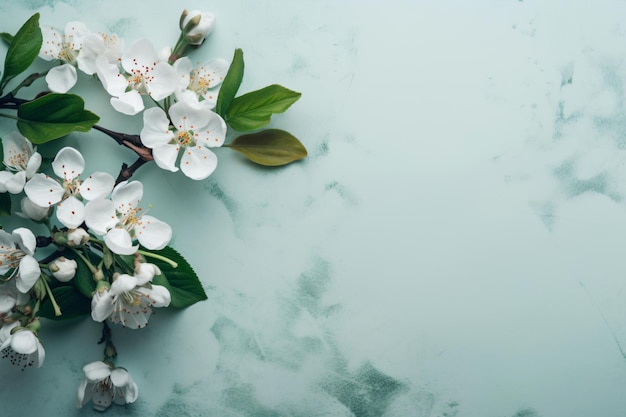 Minimalistic elegant floral spring background with copy space