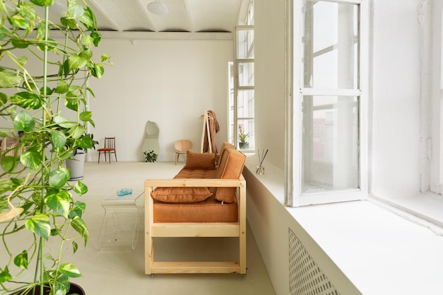 Minimalistic interior with windows orange sofa and home plant