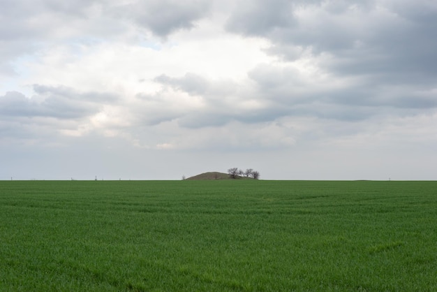 Minimalistic landscape of green field of grass against the background of a cloudy sky before the storm