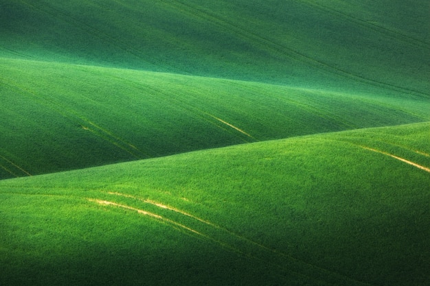 Photo minimalistic landscape with green fields, rolling hills at sunrise