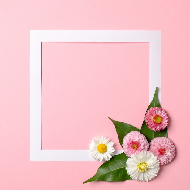 Minimalistic layout made of paper frame border and tender spring flowers on pastel pink background.