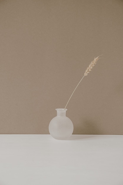 Minimalistic modern hygge style interior decoration design. Rye wheat ear stalk in white vase on pastel beige.