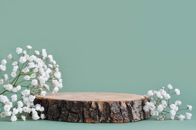 A minimalistic scene of a felled tree lies with flowers on a natural background.