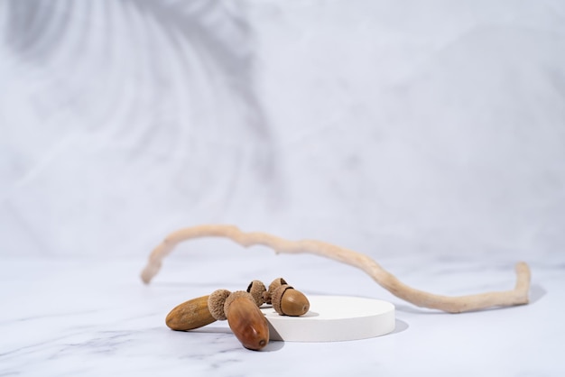 A minimalistic scene of a podium with wood and acorns on white
background for natural cosmetics