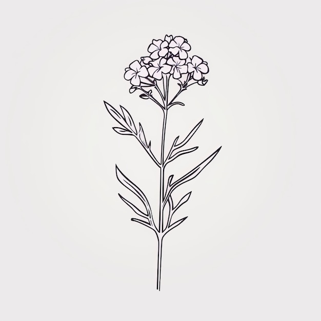 Minimalistic Tarragon Illustration In Flowerpunk Style