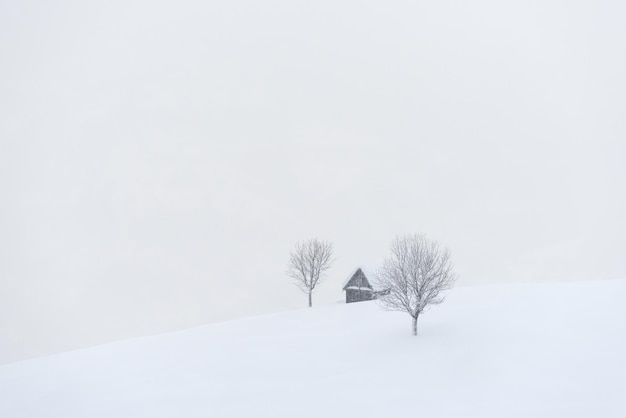 雪の中に孤独な小屋があるミニマルな冬の風景