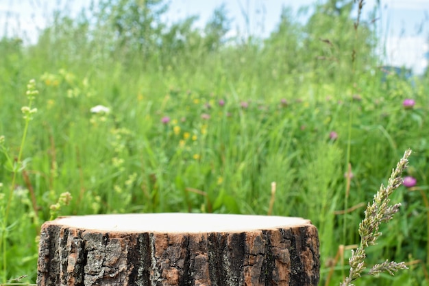 A minimalistic wooden stage set against the backdrop of a clearing. Catwalk for the presentation of products and cosmetics. Showcase with a stage for natural products. Eco-branding.