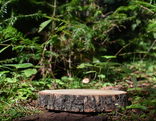 A minimalistic wooden stage set against the background of a forest. A podium for the presentation of goods and cosmetics. Copy space.