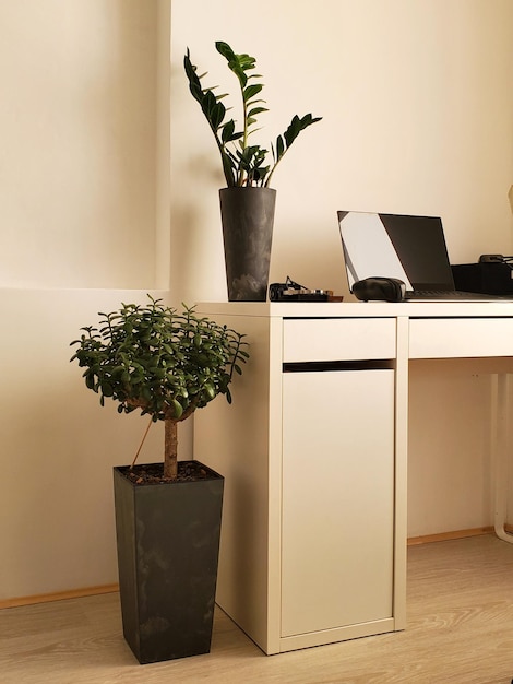 Minimalistisch interieur wit bureaublad ingericht met groene potplanten