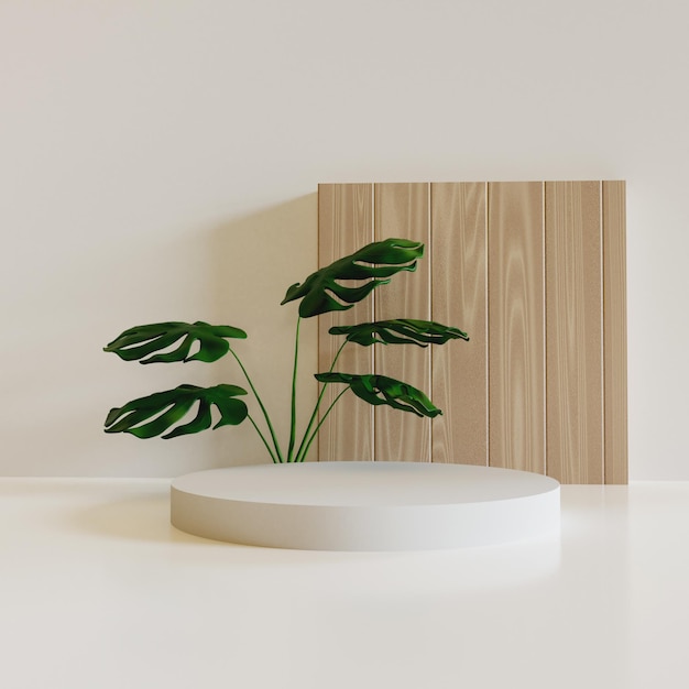 MINIMALISTISCH NATUURLIJK ELEGANT PDOIUM MET HOUT EN PLANTEN