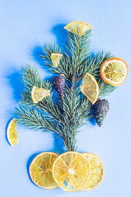 Minimalistische kerst- of nieuwjaarsboom gemaakt van dennentak, kegels en gedroogde stukjes oranje fruit.