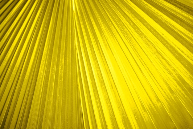 Minimalistische middelste gele kleur Abstracte achtergrond voor slanke en elegante ontwerpen