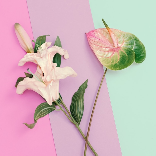 Minimalistische mode. Bloemen. Lily en Calla. Pastelkleuren trend