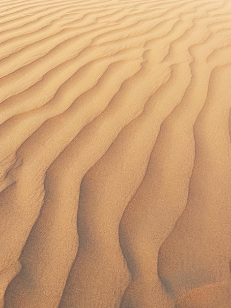 Minimalistische opname van een natuurlijk patroon in de woestijn