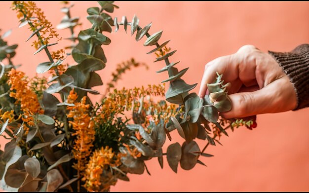 Foto minimalistische rangschikking van natuurlijke planten