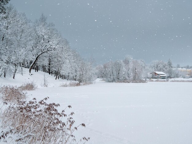 Minimalistische winterachtergrond met een dorp aan de oever van een sneeuwdek aan het meer. Veel sneeuw landschap van het platteland van de winter.