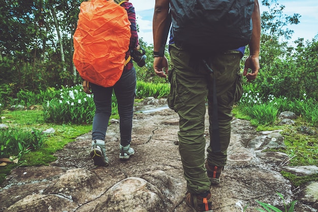 Minnaarvrouw en -man Aziatische reismacht. Reis ontspannen. Wandeling bestudeer het pad Natuur in het bos