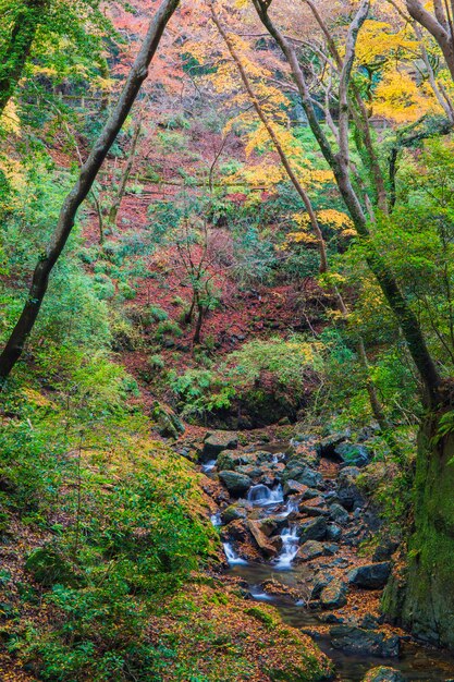 Photo minoh otaki in autumn