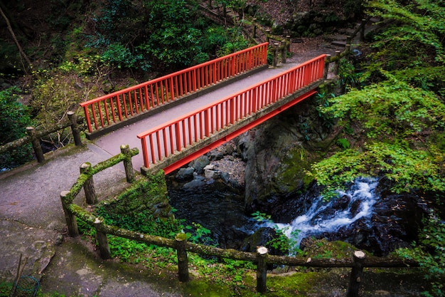 Minoh park waterfall. Osaka, Japan