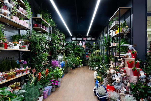 Minsk belarus dec shop window selling natural flowers exotic\
plants in pots
