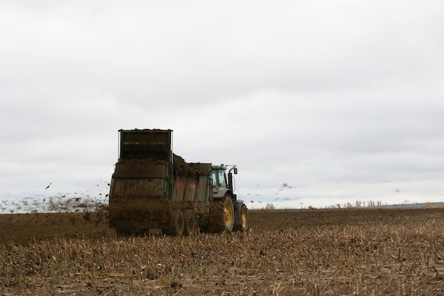 MINSK BELARUS NOVEMBER 2019 tractor spreads organic fertilizer on the field on a cloudy day