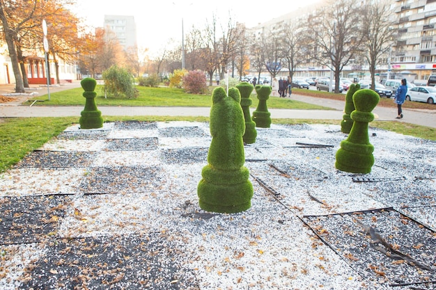 Minsk Belarus September 17 2019 chess figures covered with grass