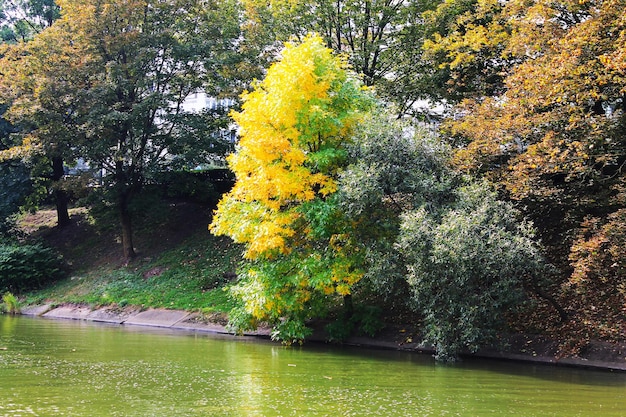 Minsk Wit-Rusland park vernoemd naar Maxim Gorky prachtige bomen over de rivier Svisloch