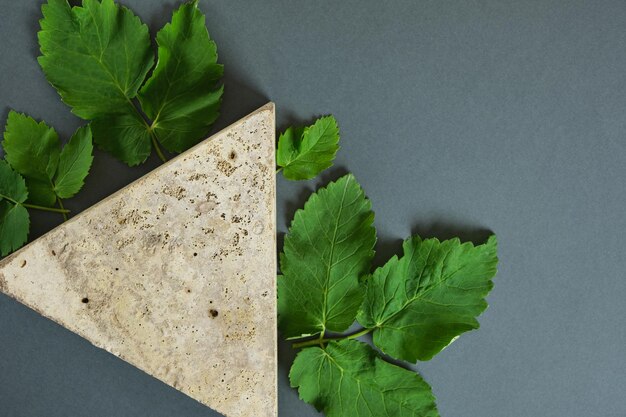 Mint branches and leaves on a triangular stone, dark green background, advertising your product, organic natural product with mint oil, concrete podium in the shape of a triangle