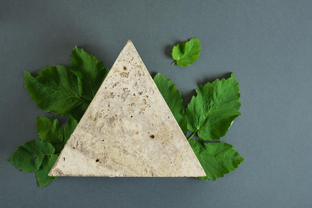 Mint branches and leaves on a triangular stone, dark green background, advertising your product, organic natural product with mint oil, concrete podium in the shape of a triangle