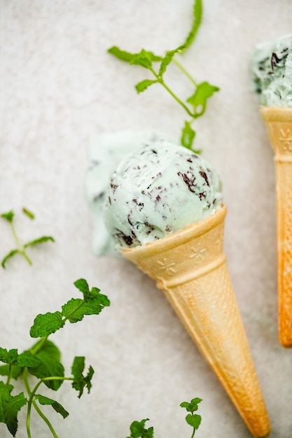 Mint Choc Chip Ice Cream