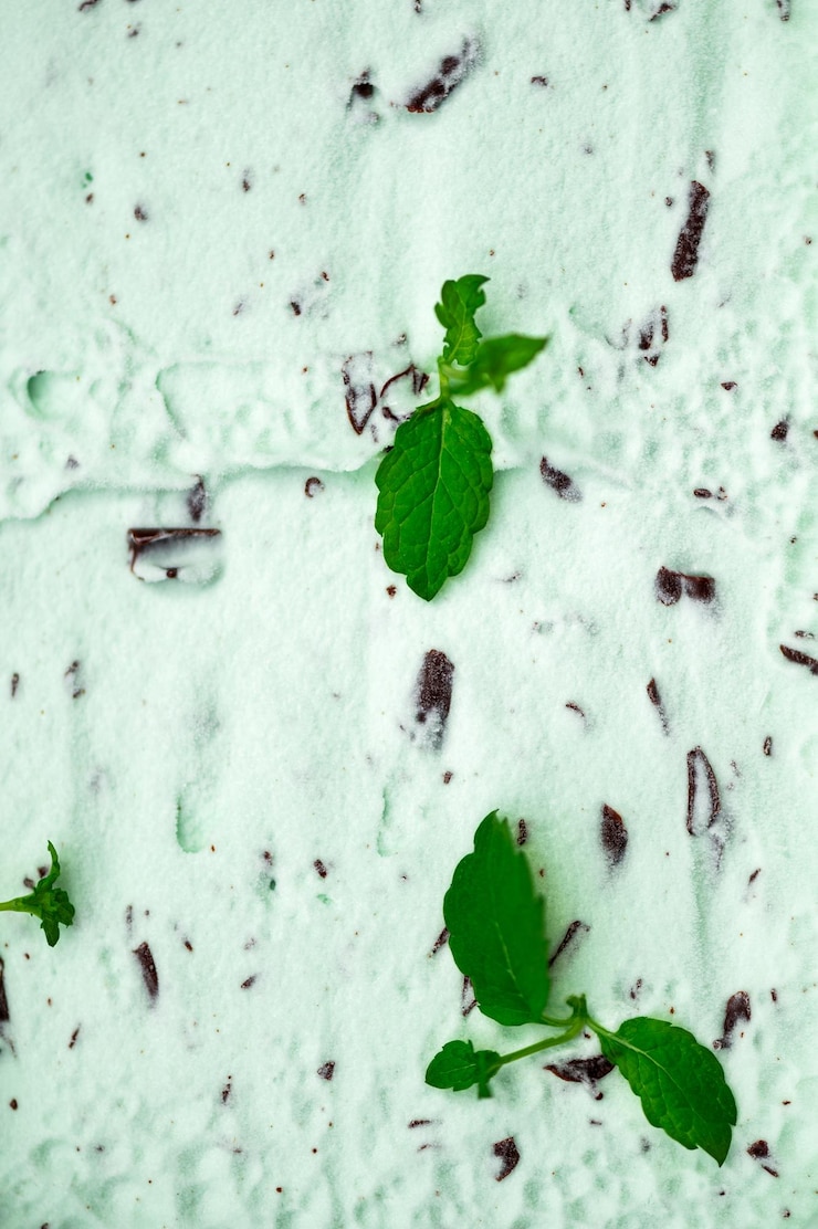 Photo mint choc chip ice cream