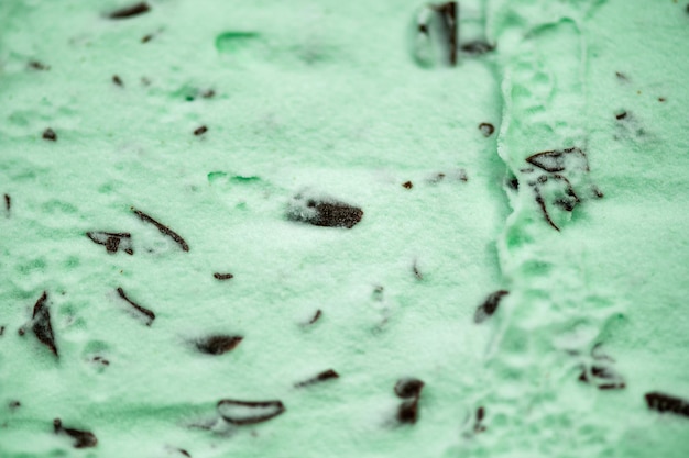 Mint Choc Chip Ice Cream