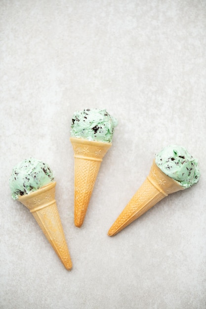 Mint Choc Chip IJs