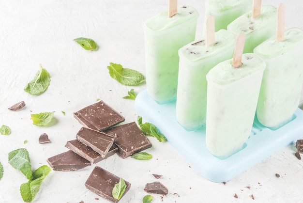 Mint and chocolate popsicles