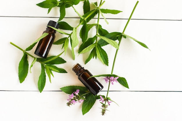 Mint essential oil in bottles of droppers and twigs of mint on a white wooden table.