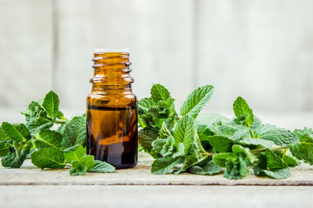 Mint extract. Medicinale planten. Selectieve aandacht. natuur.