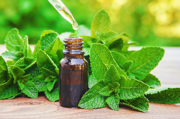 The mint extract in a small jar Selective focus