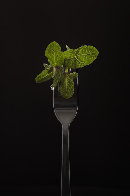 Mint on a fork