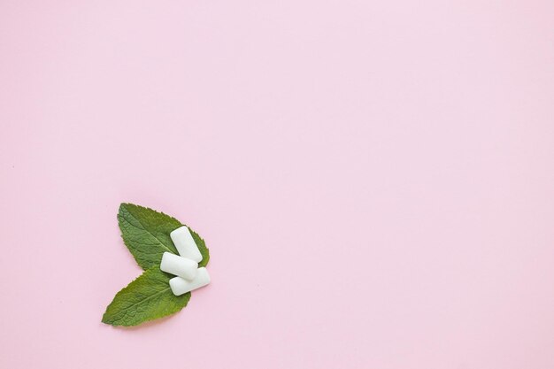 Mint green with leaves and chewing gum on pink background