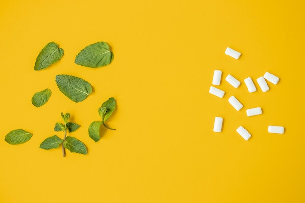 Mint green with leaves and chewing gum on yellow background