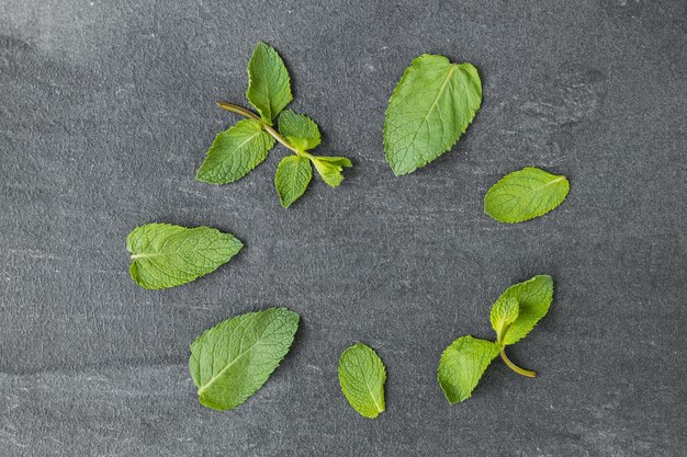 Mint groene bladeren patroon achtergrond