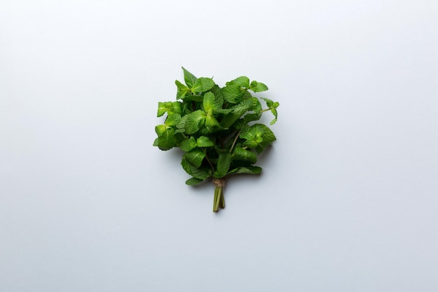 Mint leaf fresh mint on colored background mint leaves isolated\
top view with copy space