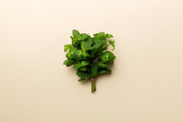 Mint leaf Fresh mint on Colored background Mint leaves isolated Top view with copy space