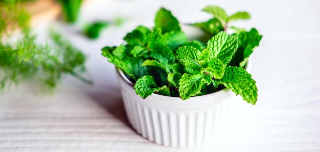 Mint leaf or Fresh mint herbs in a white bowl on white background