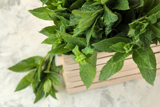 Photo mint. leaves and branches of fresh green wild mint in a box on a light concrete table.