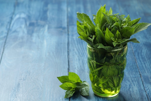 Menta. foglie e rami di menta selvatica verde fresca in un bicchiere su un tavolo di legno blu.