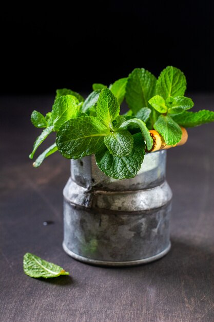 Foglie di menta, bouquet fresco di menta in un vecchio vaso rustico a secchio su un vecchio sfondo scuro