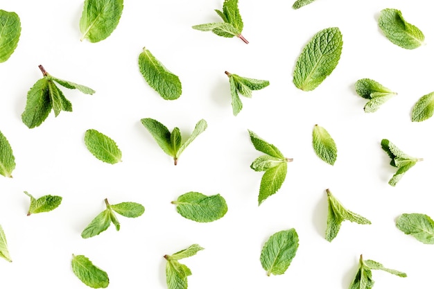 Mint leaves isolated on white background set of peppermint mint pattern flat lay top view