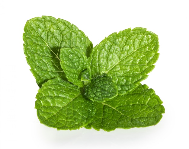 Mint leaves isolated on white background